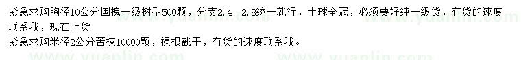 求購(gòu)胸徑10公分國(guó)槐、米徑2公分苦楝