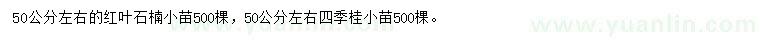 求購(gòu)50公分紅葉石楠、四季桂