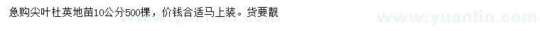 求購(gòu)10公分尖葉杜英