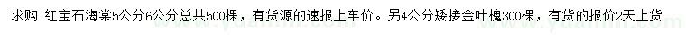 求購5、6公分紅寶石海棠、4公分金葉槐