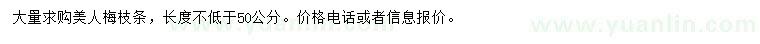 求購長度不低于50公分美人梅枝條
