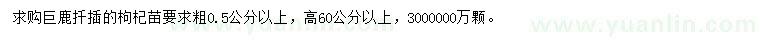 求購0.5公分以上枸杞苗