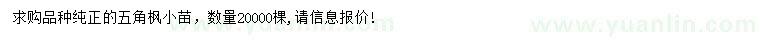求購五角楓小苗