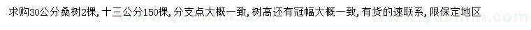 求購13、30公分桑樹