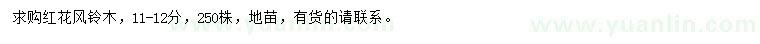 求購11-12公分紅花風(fēng)鈴木