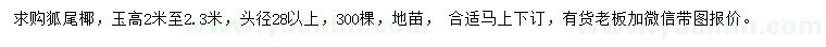 求購頭徑28公分以上狐尾椰