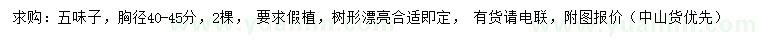 求購40-45公分五味子