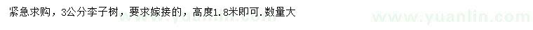 求購(gòu)3公分李子樹