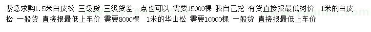 求購1、1.5米白皮松、1米華山松