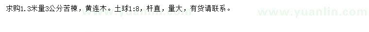 求購1.3米量3公分苦楝、黃連木