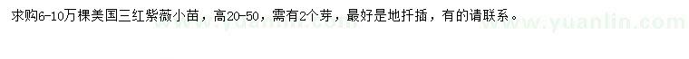 求購高20-50公分美國三紅紫薇小苗