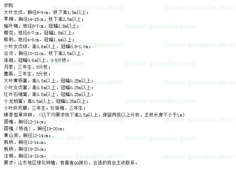 求購法桐、國槐、楓楊等