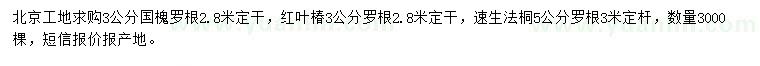 求購國槐、紅葉椿、法桐