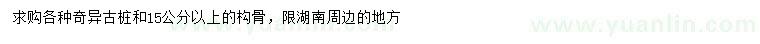 求購15公分以上枸骨