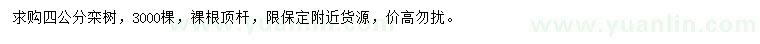 求購4公分欒樹