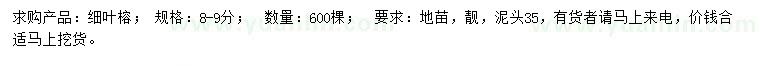 求購8-9公分細(xì)葉榕