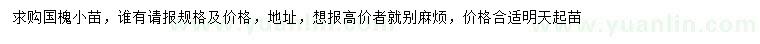 求購(gòu)國(guó)槐小苗