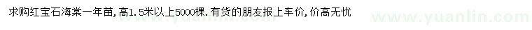 求購(gòu)高1.5米以上紅寶石海棠