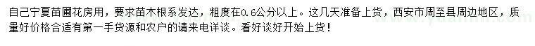 求購粗度在0.6公分以上紫葉矮櫻扦插苗