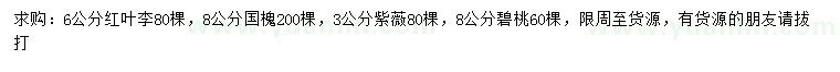 求購紅葉李、國槐、紫薇等