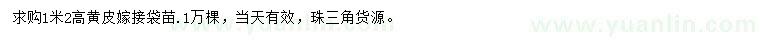 求購高1.2米黃皮