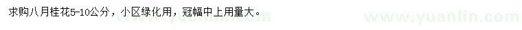 求購(gòu)5-10公分八月桂花
