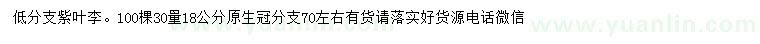 求購18公分紫葉李