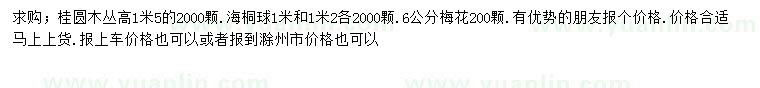 求購桂圓木、海桐球、梅花