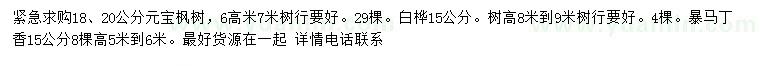 求購(gòu)元寶楓樹、白樺、暴馬丁香