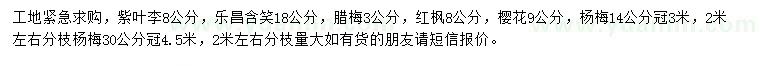 求購紫葉李、樂昌含笑、臘梅等