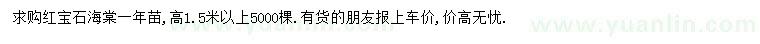 求購高1.5米以上紅寶石海棠
