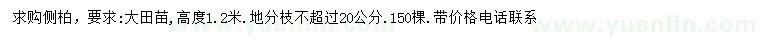求購高1.2米側(cè)柏