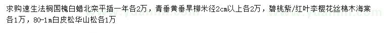 求購速生法桐、國槐、白蠟等