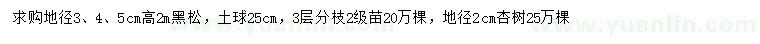 求購高2米黑松、地徑2公分杏樹