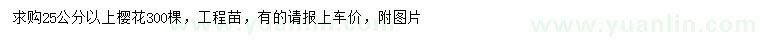 求購胸徑25公分櫻花
