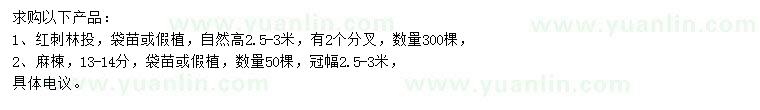 求購紅刺林投、麻楝