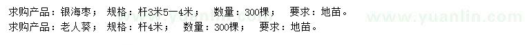 求購銀海棗、老人葵