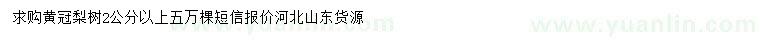 求購2公分以上黃冠梨樹