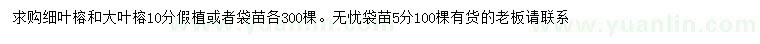 求購(gòu)細(xì)葉榕、大葉榕、無憂樹