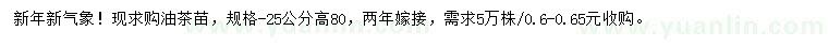 求購油茶苗