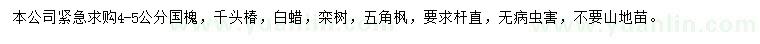 求購國槐、千頭椿、白蠟等