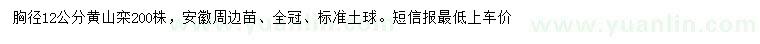 求購胸徑12公分黃山欒