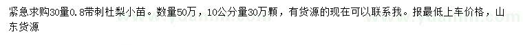 求購杜梨小苗