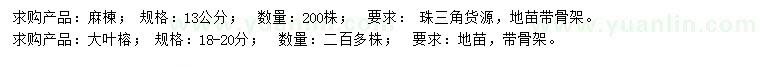 求購13公分麻楝、18-20公分大葉榕