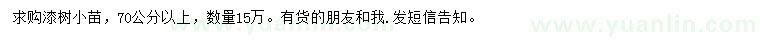 求購70公分以上漆樹小苗