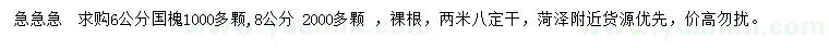 求購6、8公分國槐