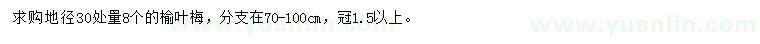 求購(gòu)30量8公分榆葉梅