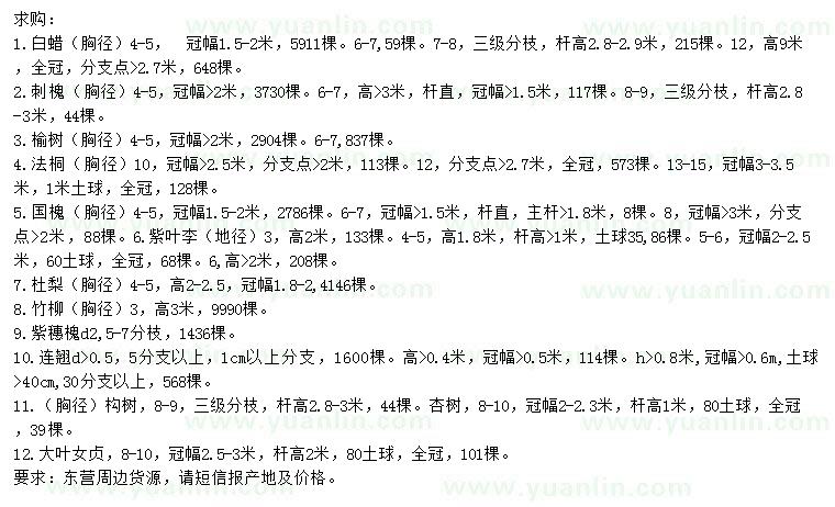 求購白蠟、刺槐、榆樹等