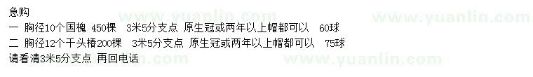 求購胸徑10公分國槐、胸徑12公分千頭椿
