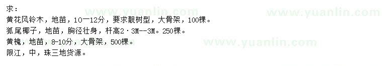 求購黃花風(fēng)鈴木、狐尾椰、黃槐